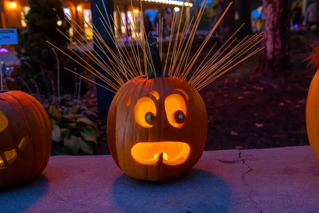 jack o lantern with scared face