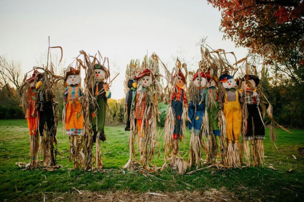 scarecrows lined up in a field
