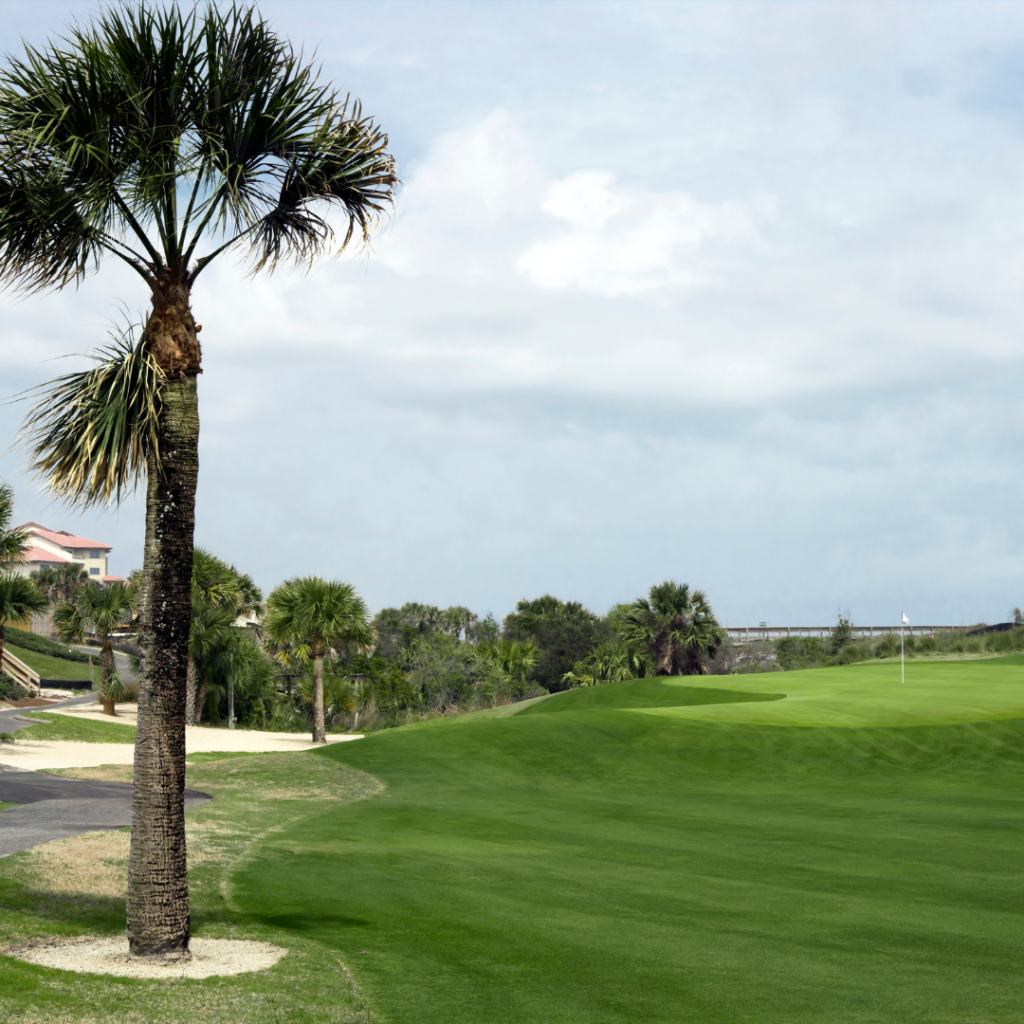 Golf Tarpon Springs