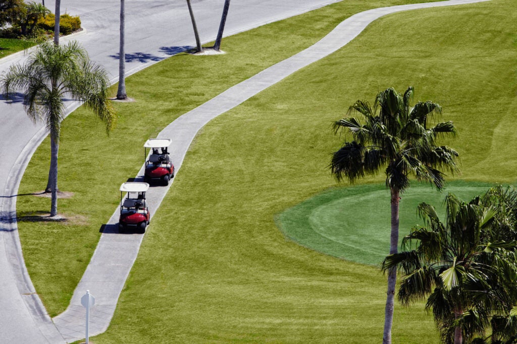 Golf carts on course with palm trees