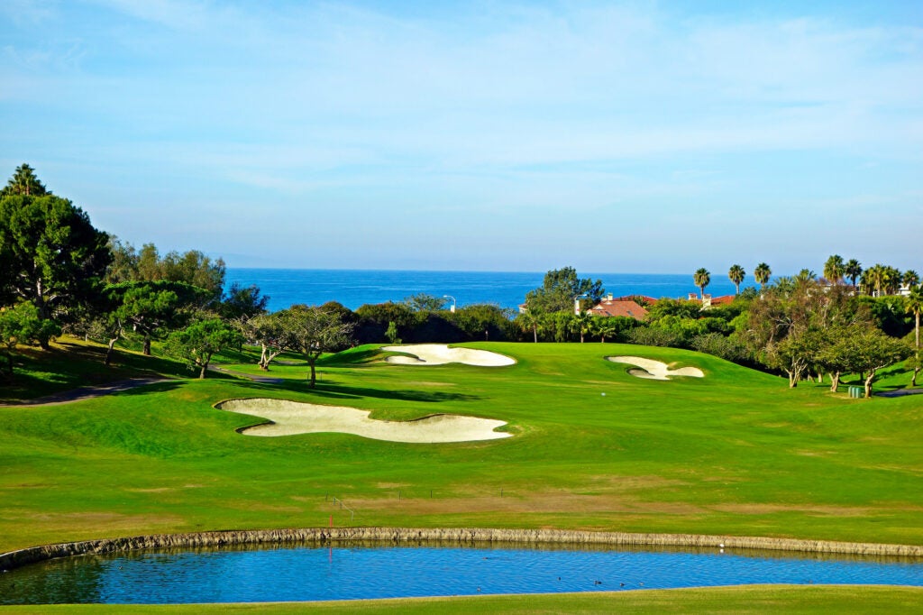 Closeup shot of a golf field on a sunny day