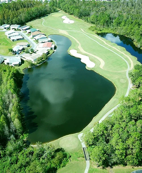 Hole 6 Cypress Lakes Golf Club