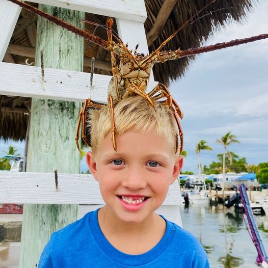 Big Pine Key Lobster Catch