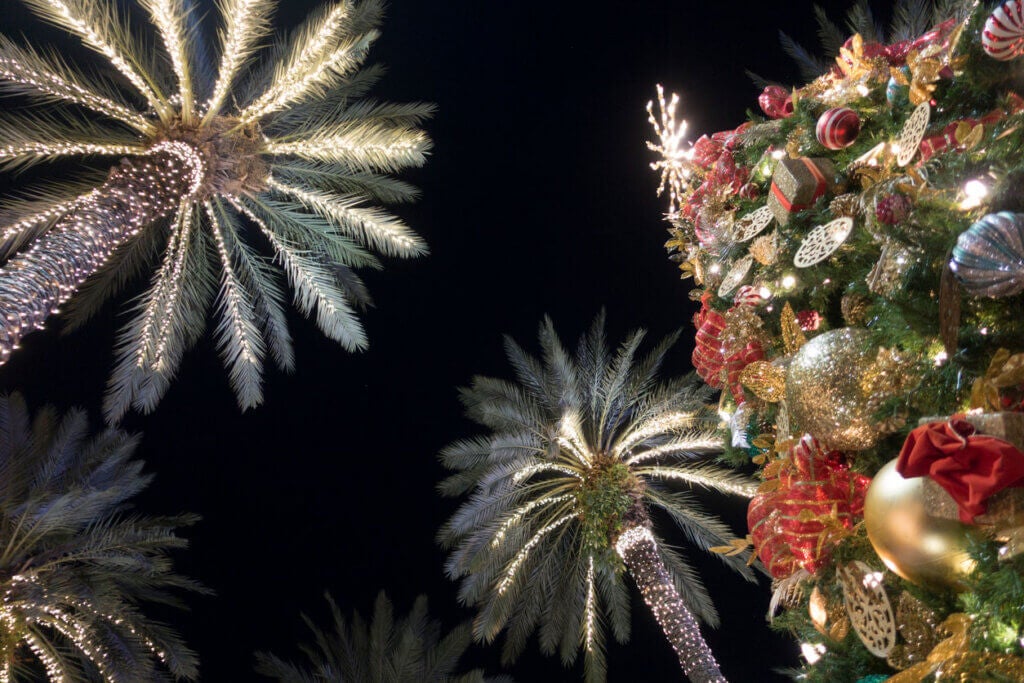 Miami Beach Christmas Tree Decorations With Palm Trees Lincoln Road