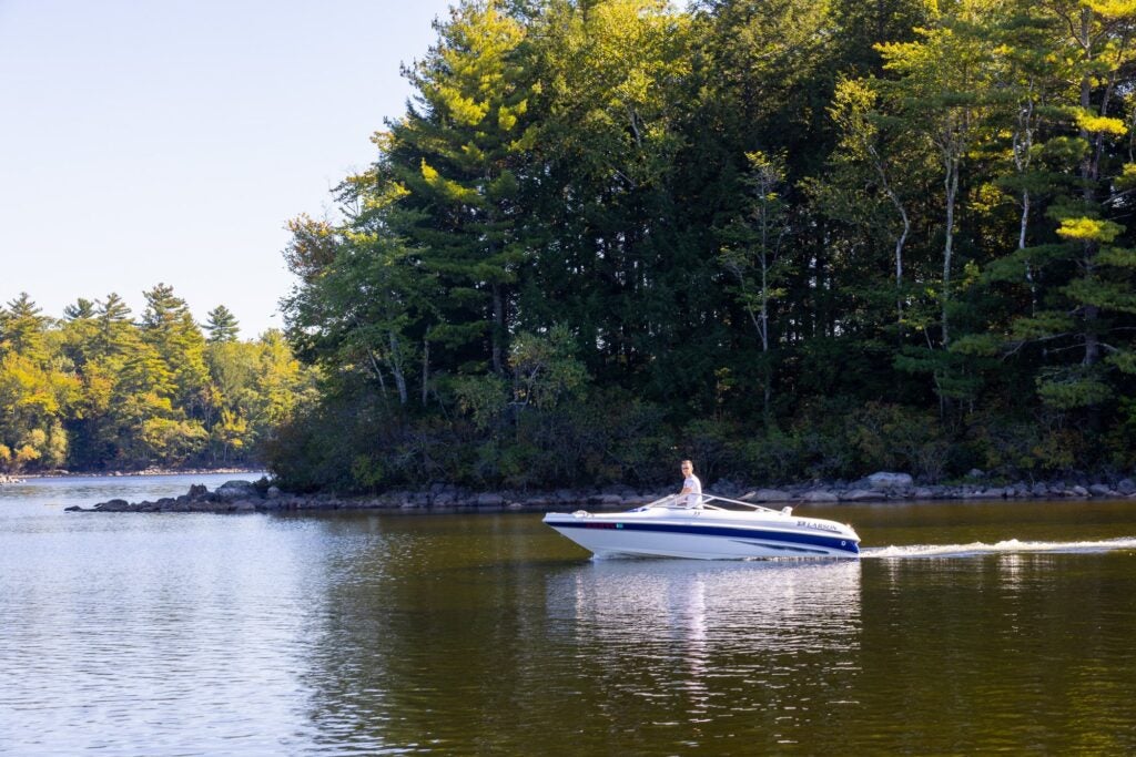 boat on lake with tree behind