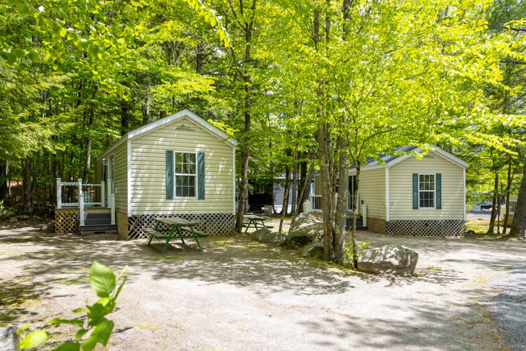 Basic Cabin Rentals PSR