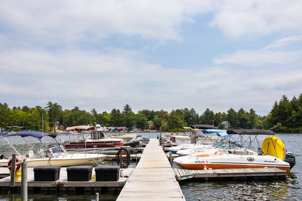 Boat dock with boats in slips