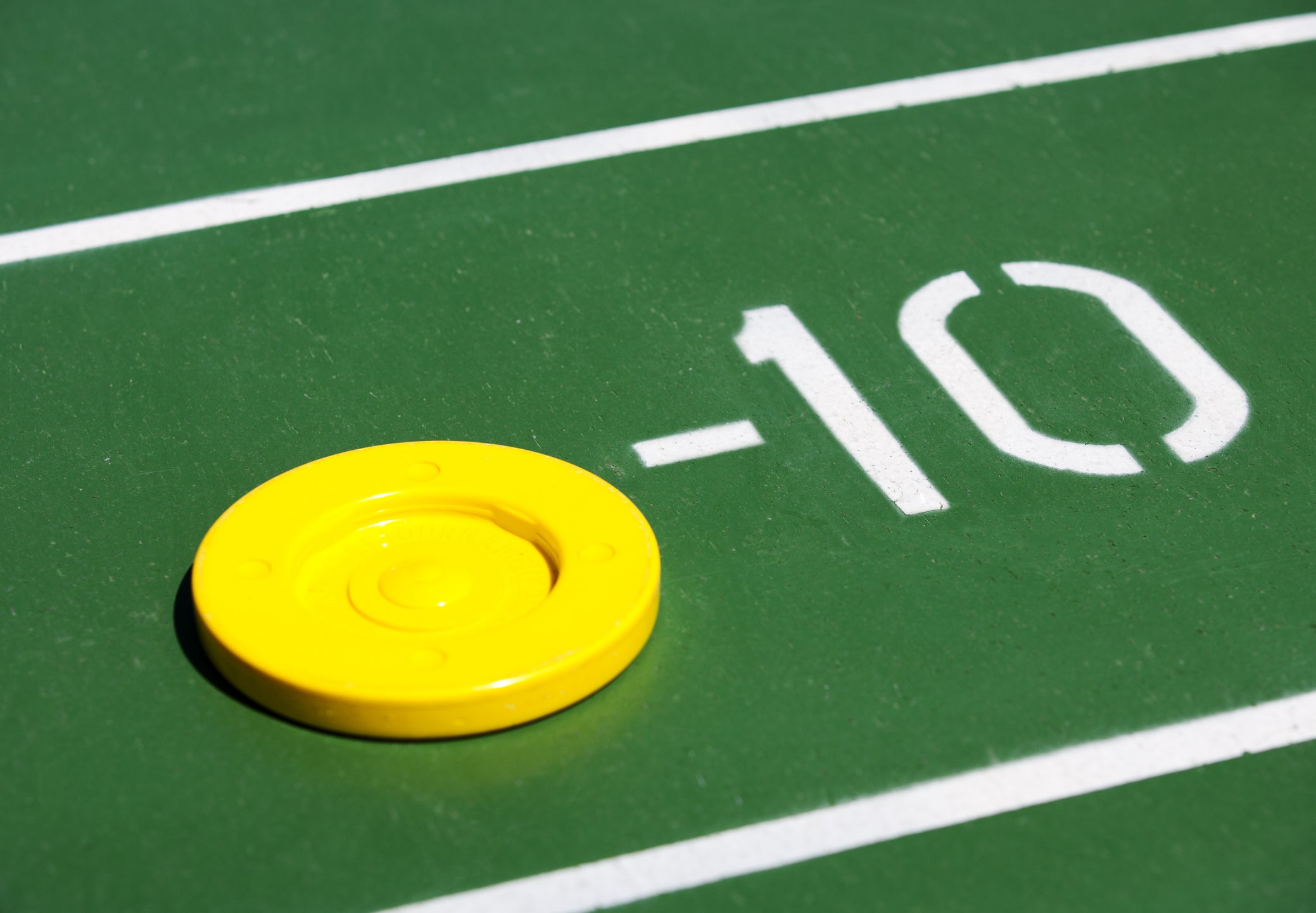 Shuffleboard Court