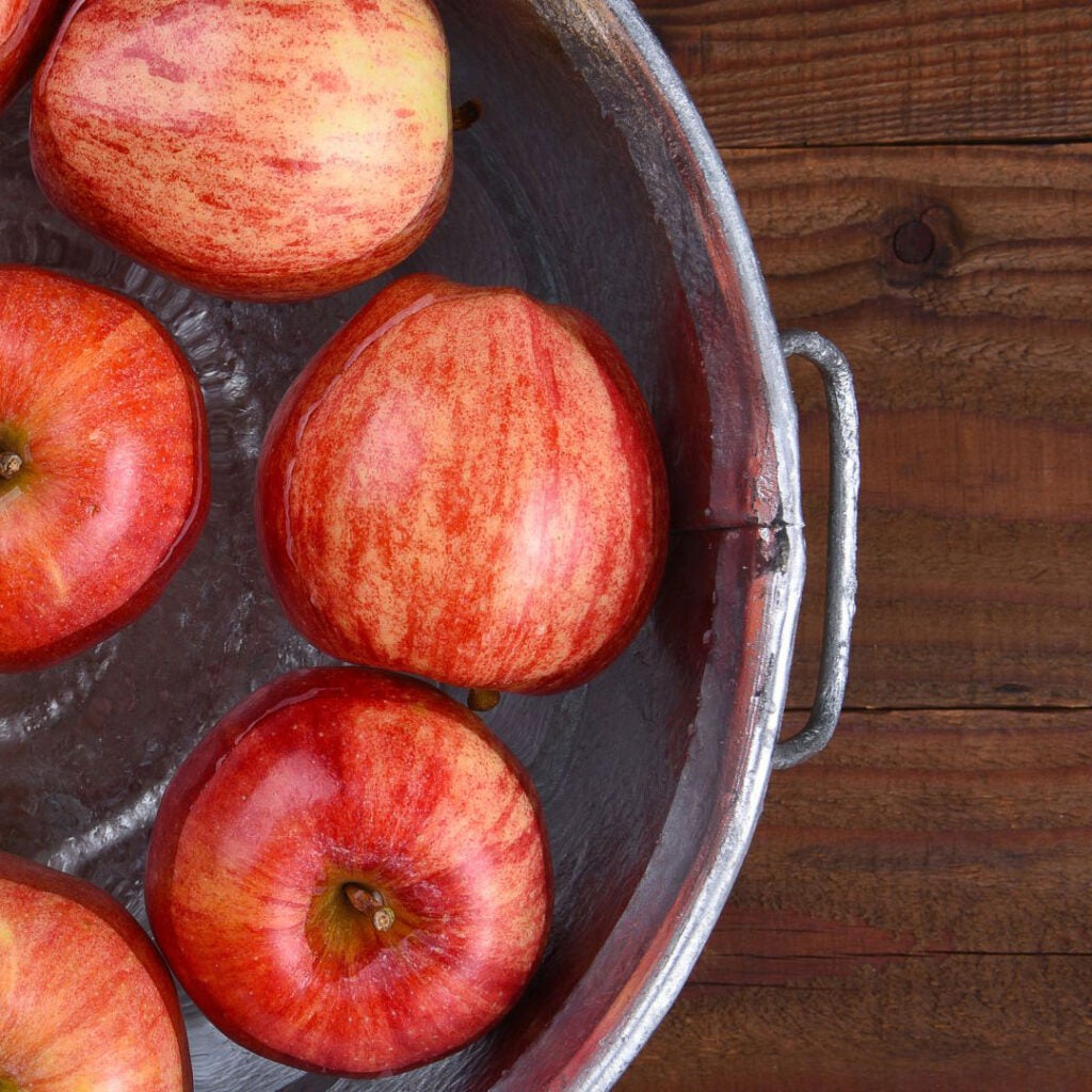 Fall themed weekends include apple bobbing