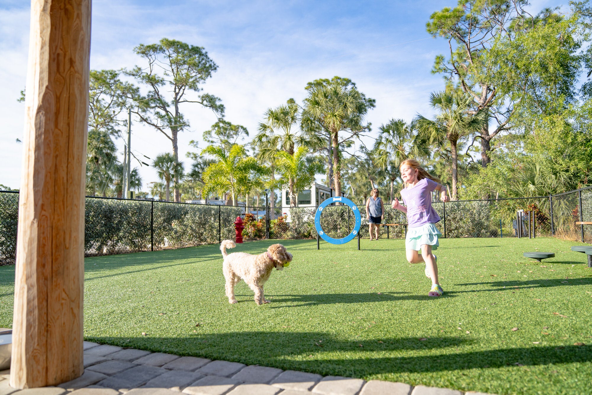 Little girl and dog at dog park