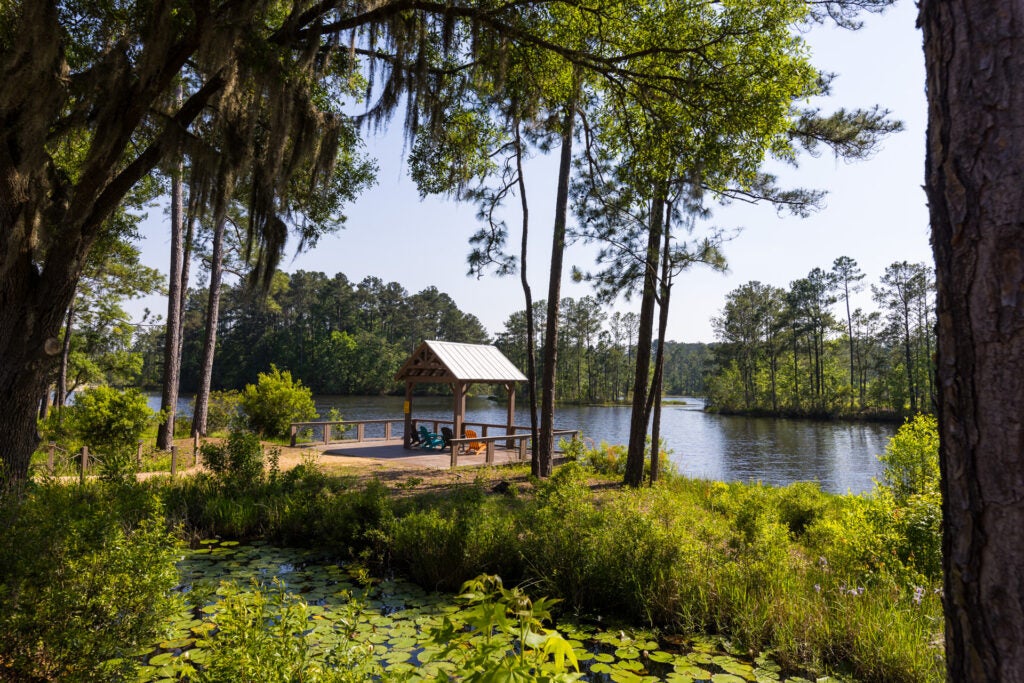 South Carolina - Lake Jasper lake view