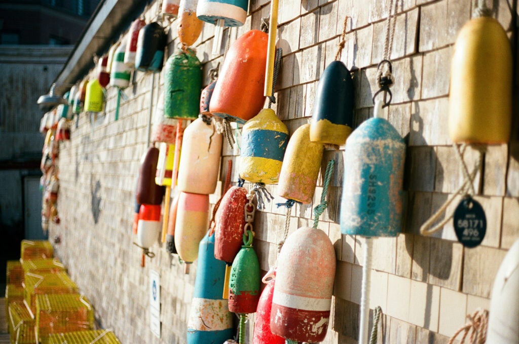 Lobster buoys displayed on wall in Portland near Point Sebago