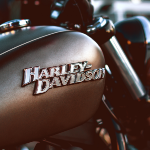 Harley Davidson Bike Fest 