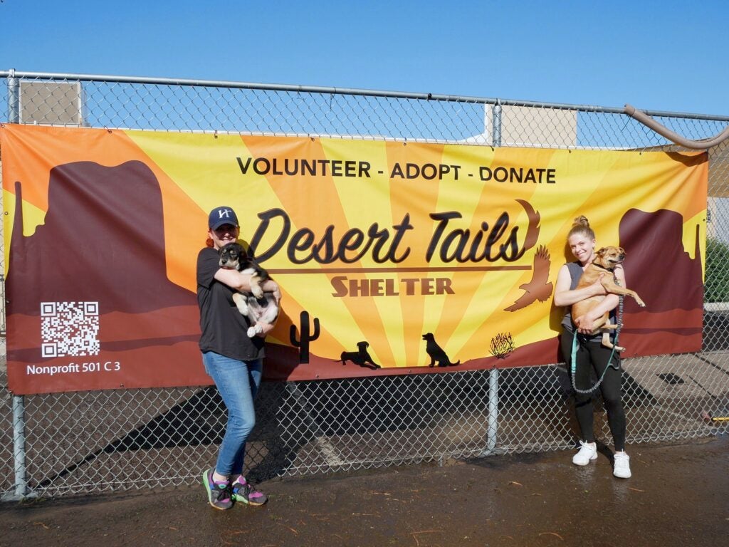 Cove team members volunteering at Desert Tails