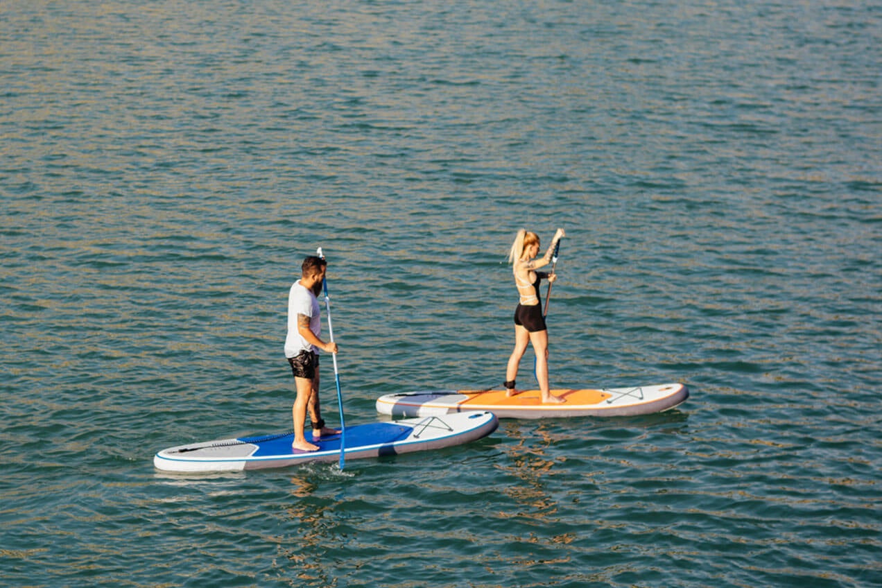 Paddleboarding in Sarasota, FL