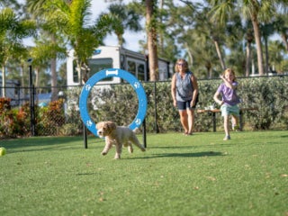 Dog park within Blueway RV Park in Fort Myers, Florida.
