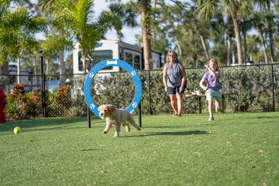 Family playing with their dog in dog park at Blueway RV Park in Fort Myers, Florida.