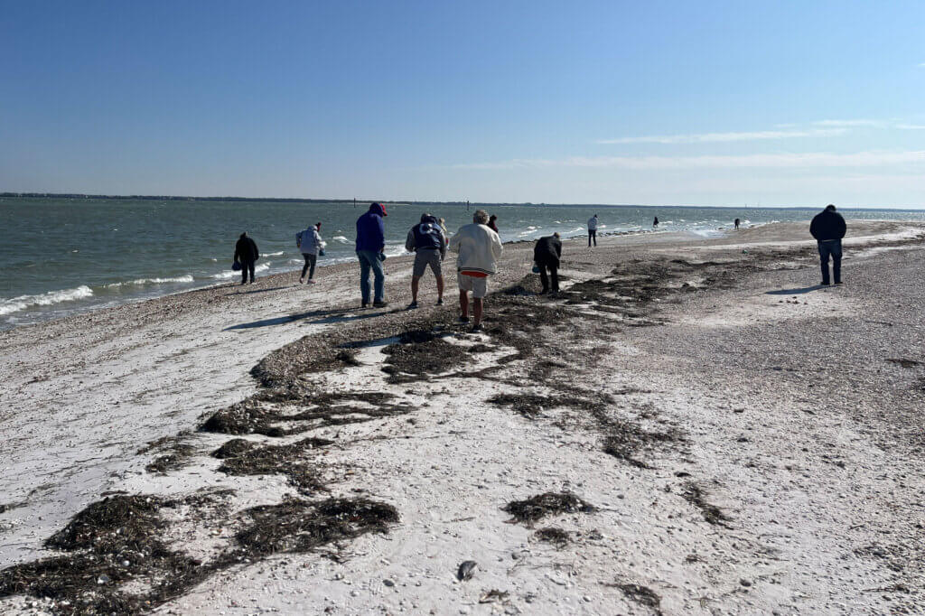 Sun Valley residents on the beach at Anclote Key Beach, Florida