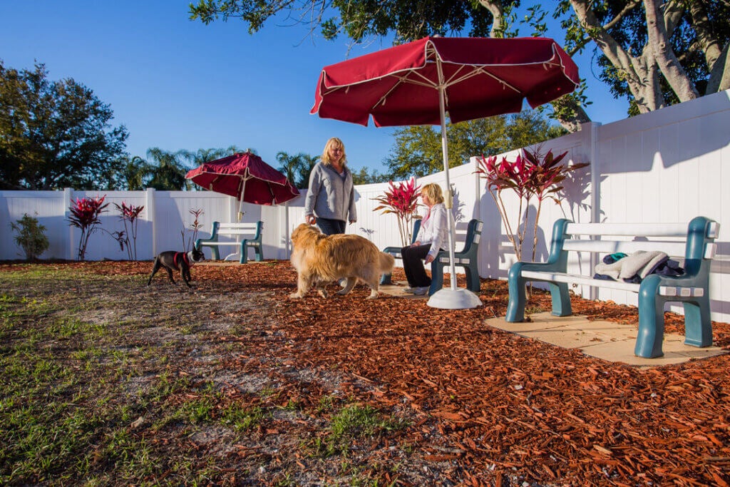 Seniors and golden retriever at the Camelot East dog park