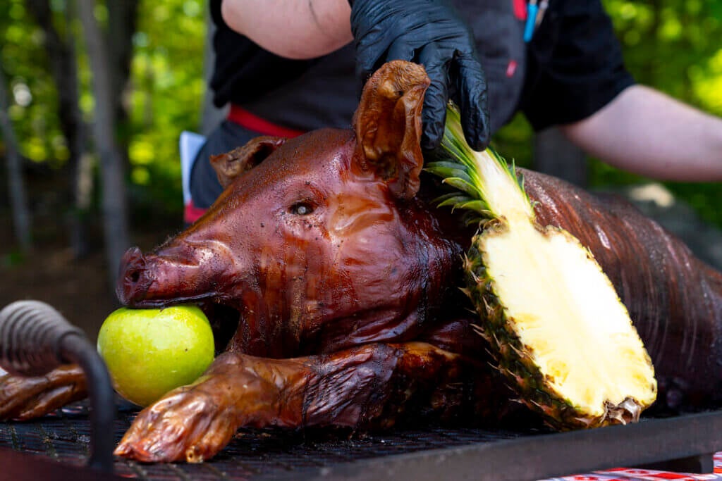 Pig roast during Luau Weekend at Point Sebago Resort in Maine.