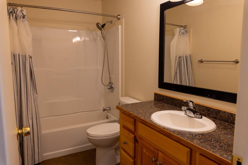 Island Lodge Basement Bath 2