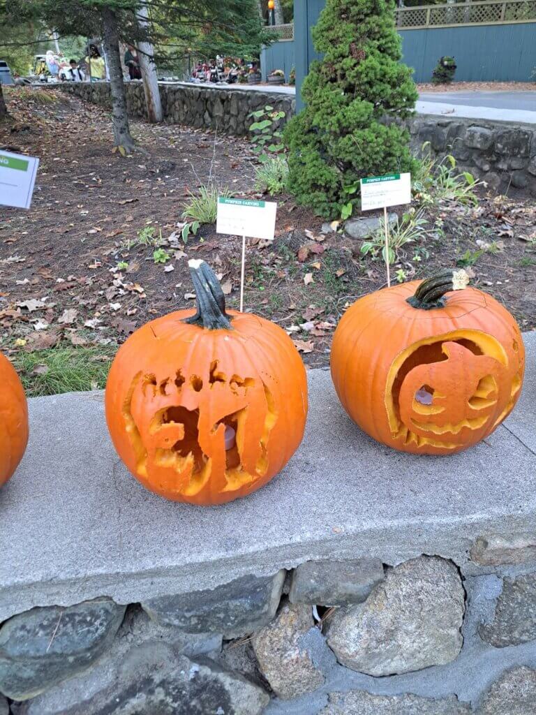 Pumpkin carving contest at Point Sebago Resort in Maine.