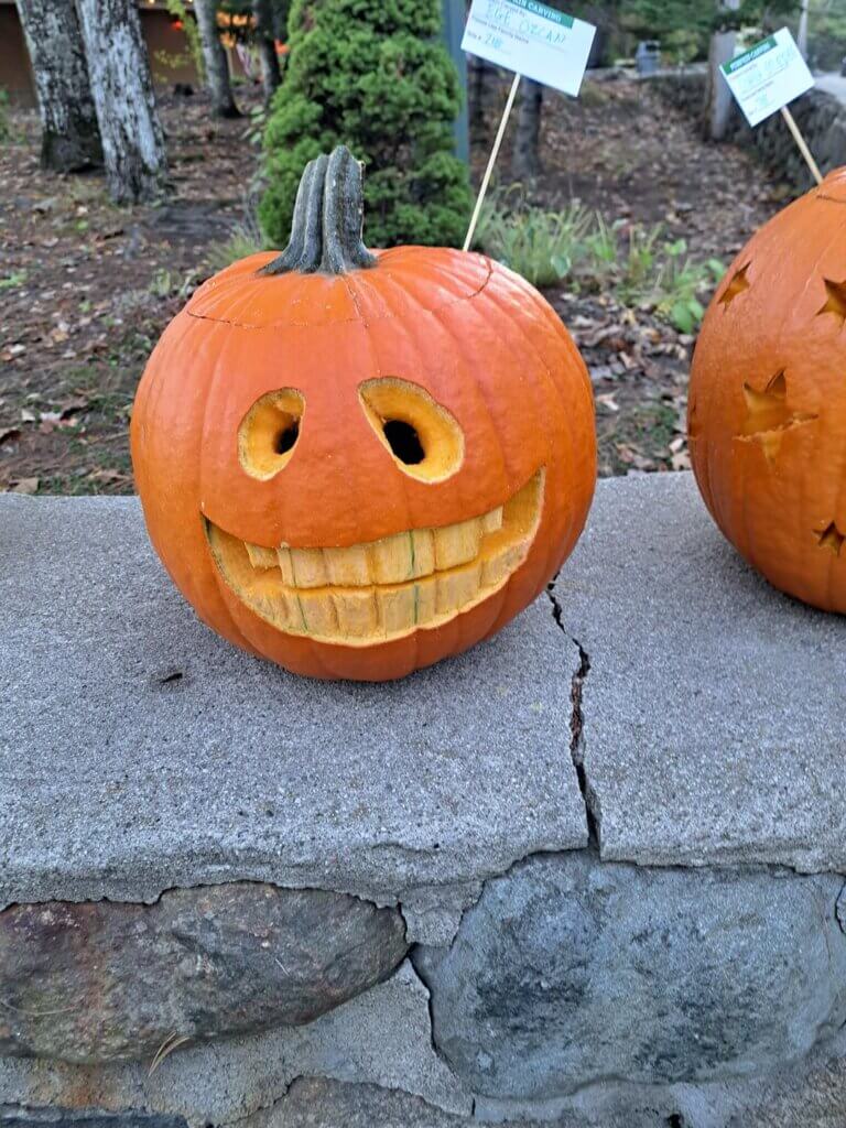 Pumpkin carving contest at Point Sebago Resort in Maine.