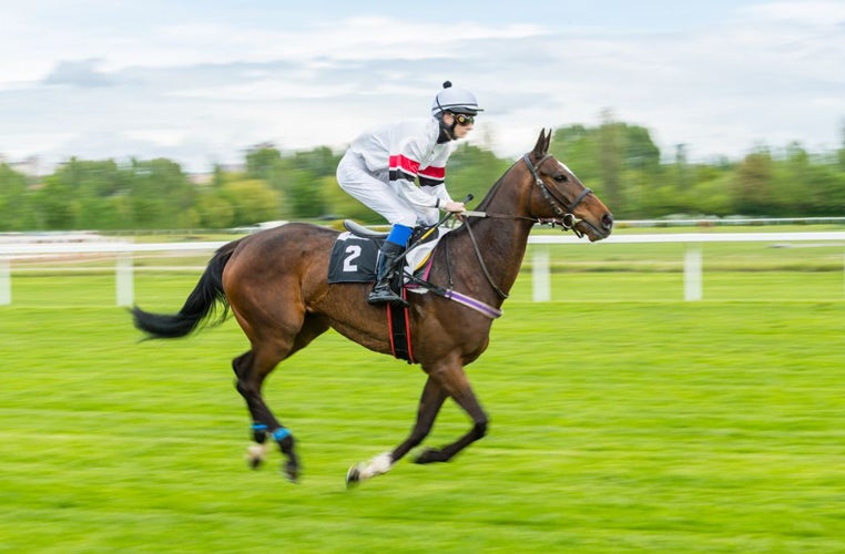 Jockey riding a brown horse with a number 2 on his back.