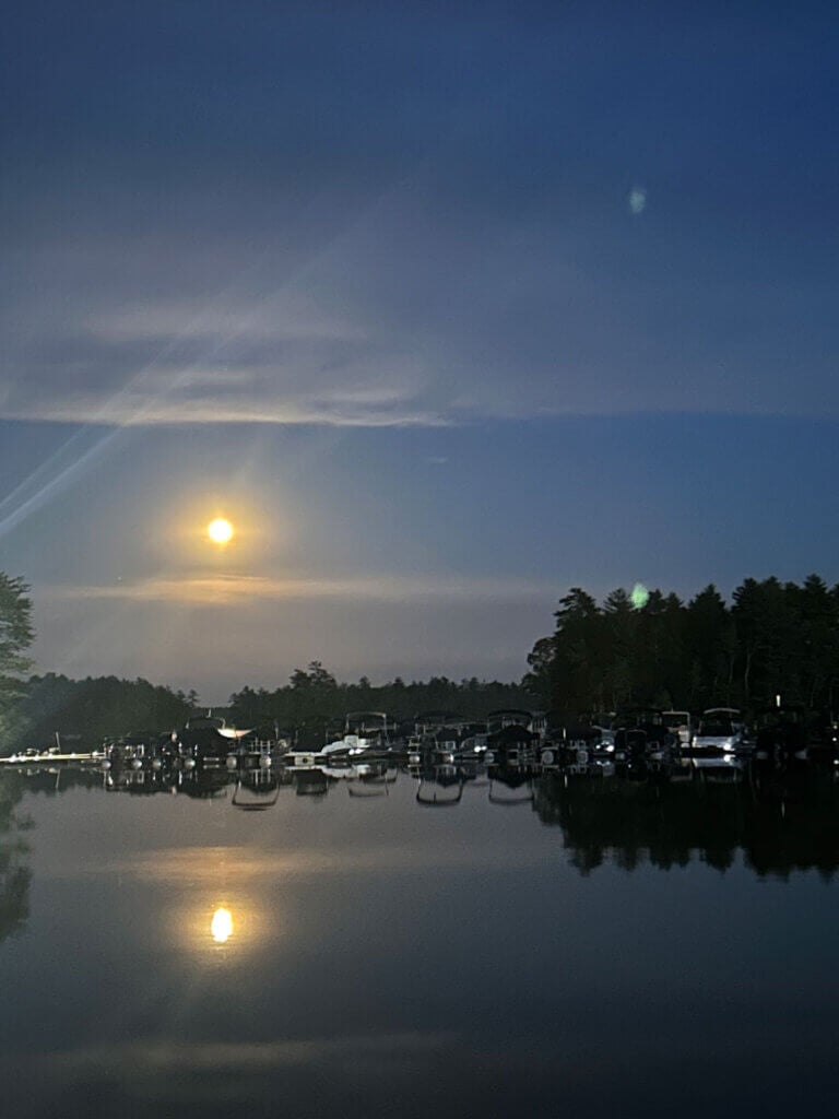 Marina by Moonlight