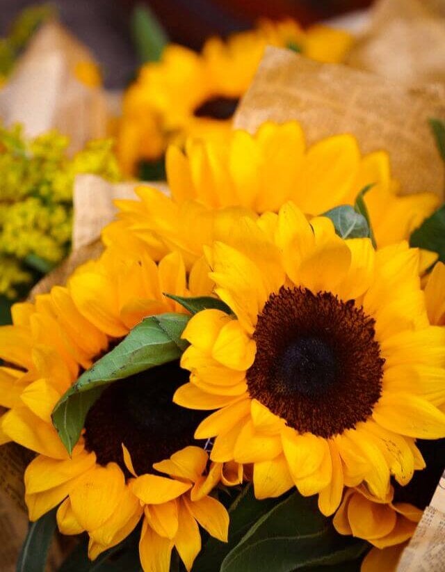 Bouquet of sunflowers wrapped in butcher paper