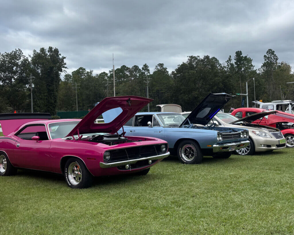 Cars lined up at the Savannah Low Country Car Club Show at CreekFire RV Resort in Savannah, Georgia