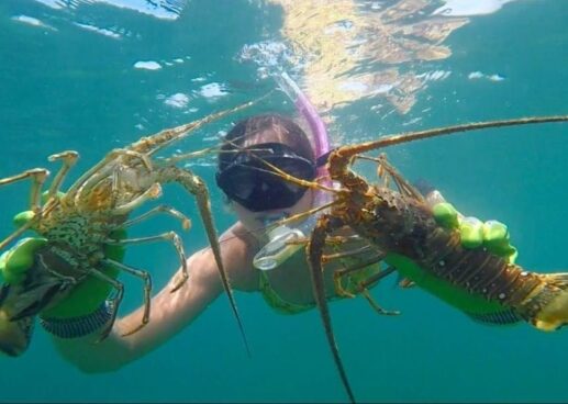 Big Pine Key Resort Mini Lobster Weekend