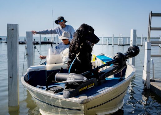 Chokoloskee Island Resort - Dog on a Boat