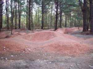 Dirt bike trail with trees