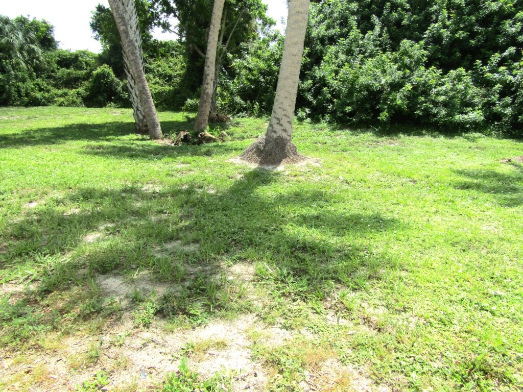 139 Condado Court