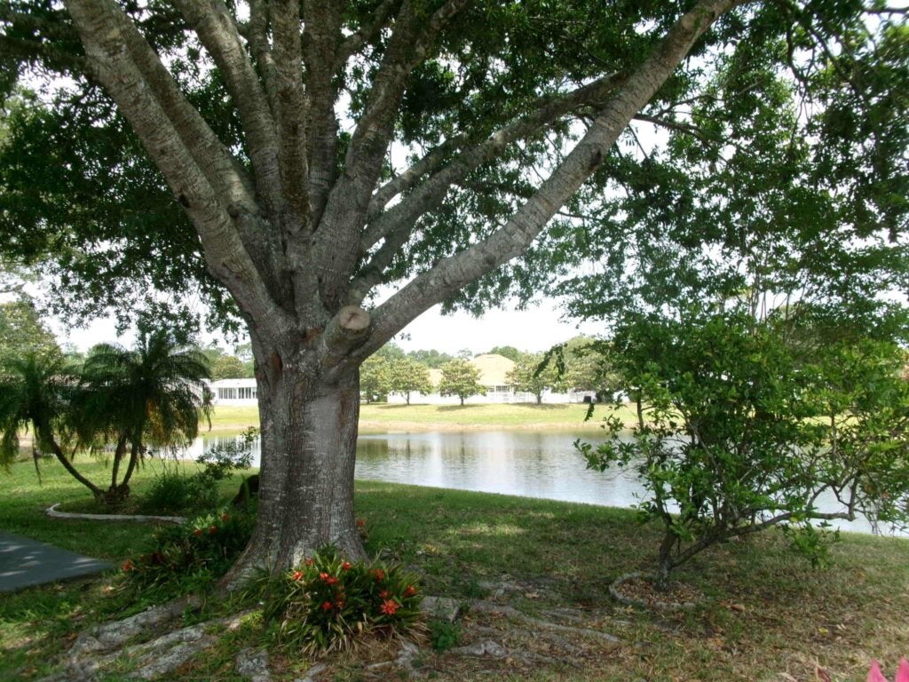 141 Bear Creek Path