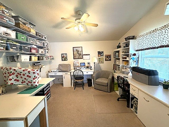 1662 Big Cypress Blvd