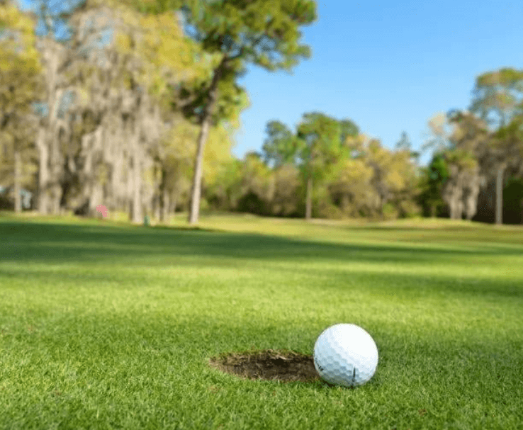 203 D East Gleneagles Rd