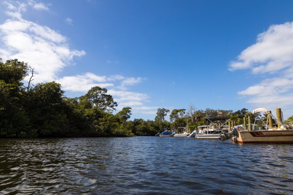 20548 Polynesian Lp.