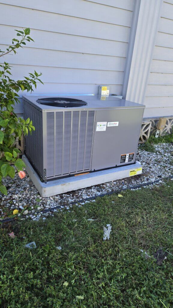 217 Little Bay Street