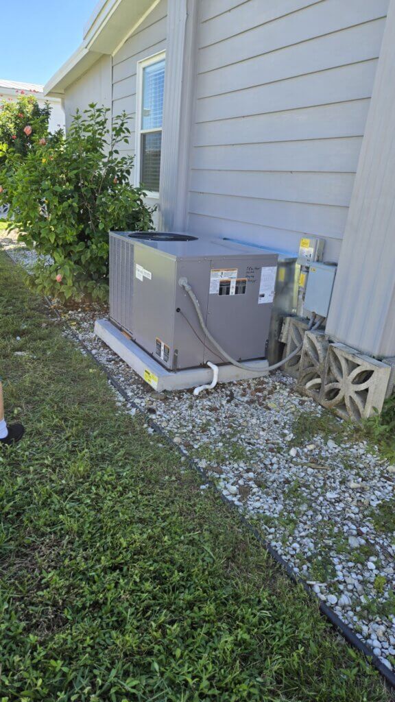 217 Little Bay Street