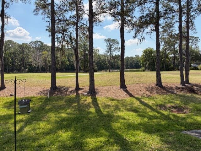 2248 Big Cypress Blvd