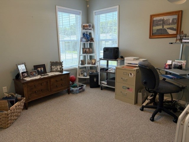 2315 Snowy Plover Drive