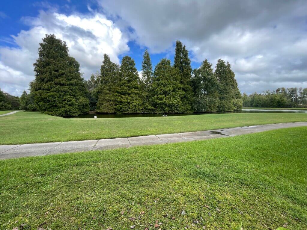 2321 Little Cypress Drive