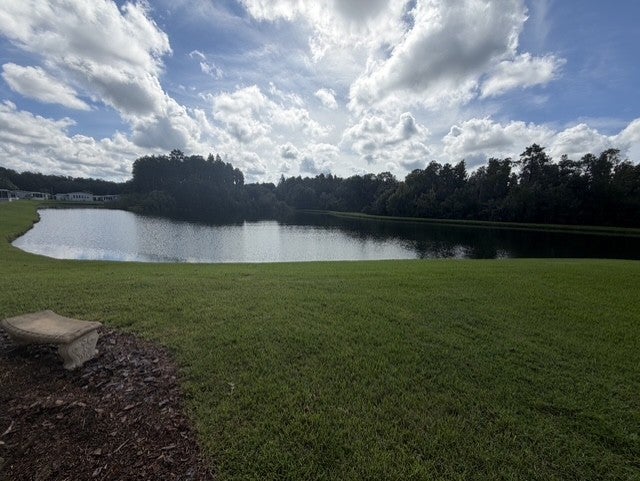 2466 Snowy Plover Drive