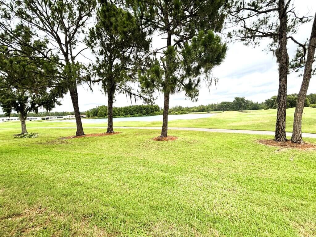 2816 Peavine Trail