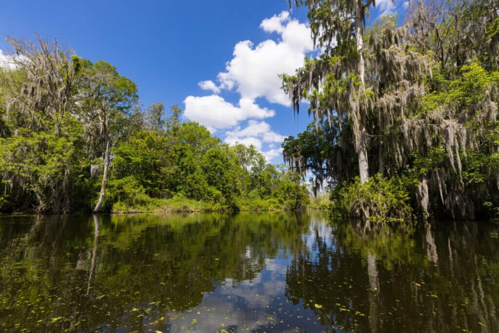 28229 CR 33, Lot E118