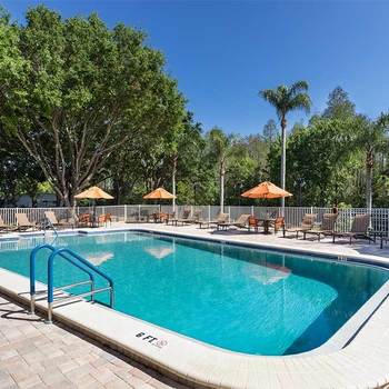39248 US HWY 19N #288