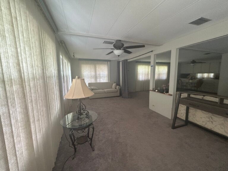 4 Iguana Court