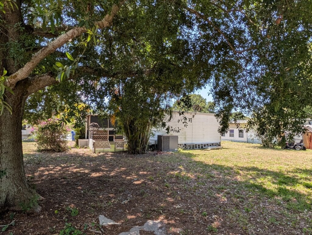 53 Lone Pine Avenue